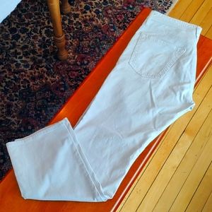 AG Graduate tailored fit chinos